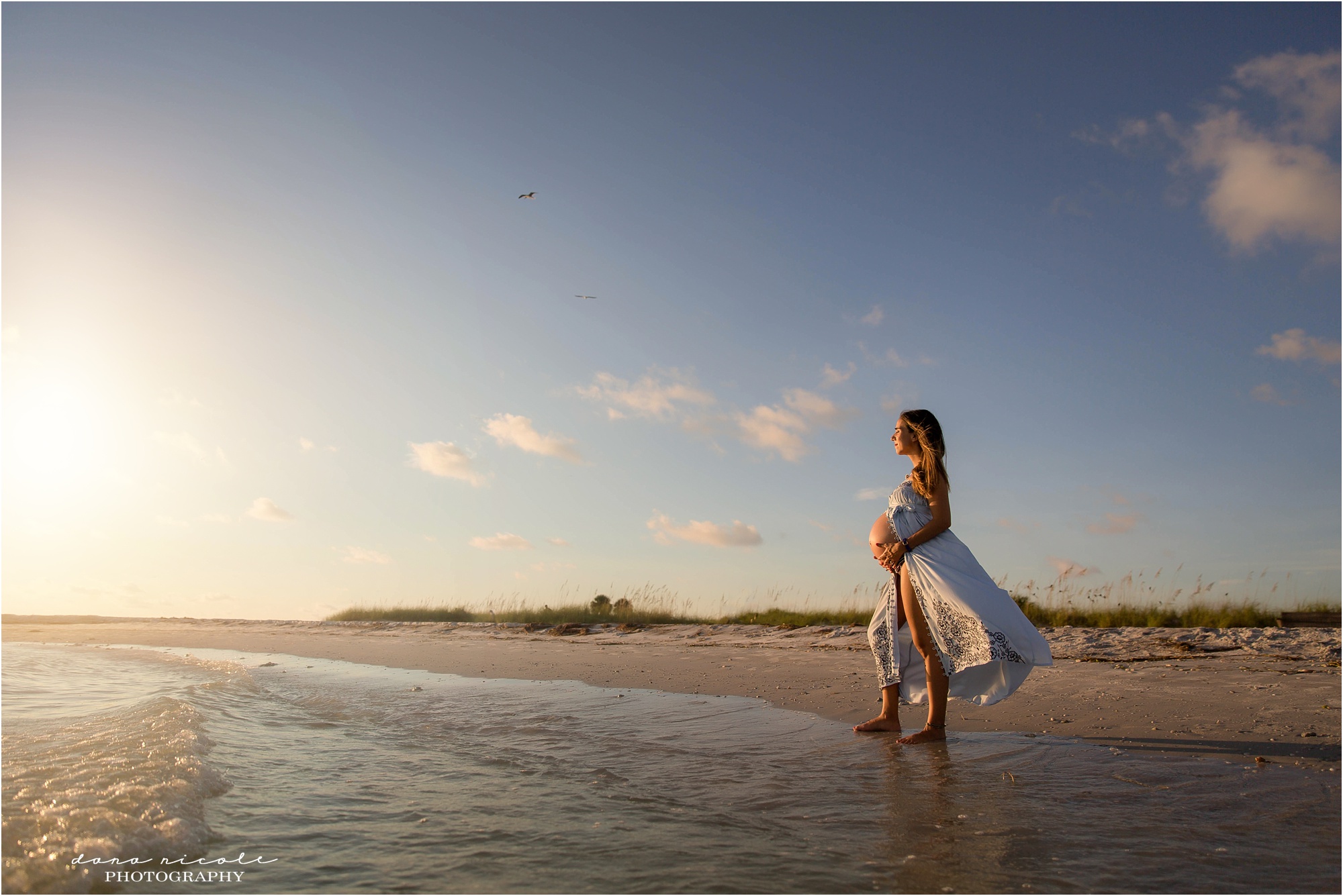 Tampa Maternity Photographer at Honeymoon Island State Park | Dana Nicole Photography | Tampa, FL
