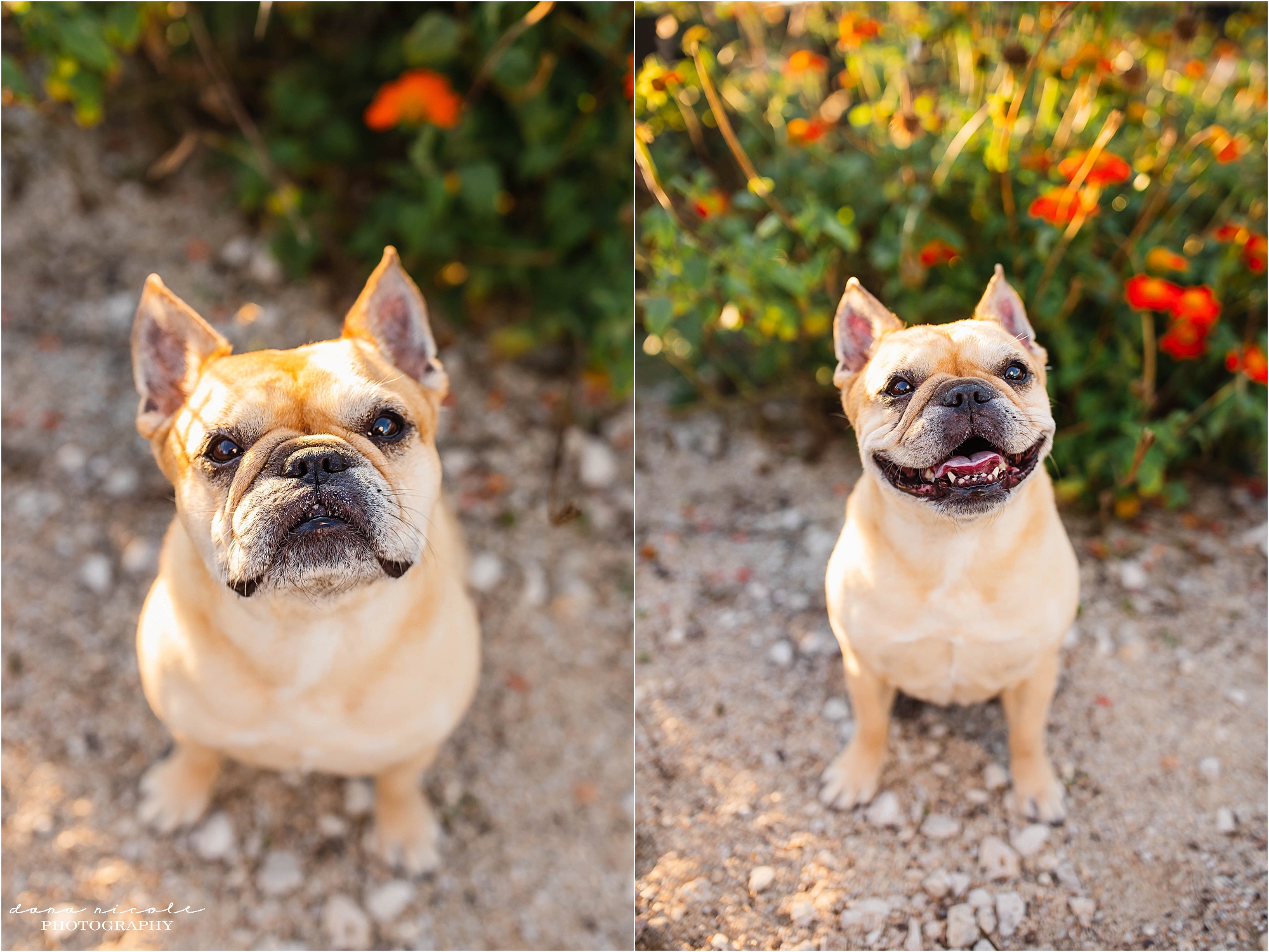 Starkey Ranch Family Photographer | Dana Nicole Photography | Tampa, FL